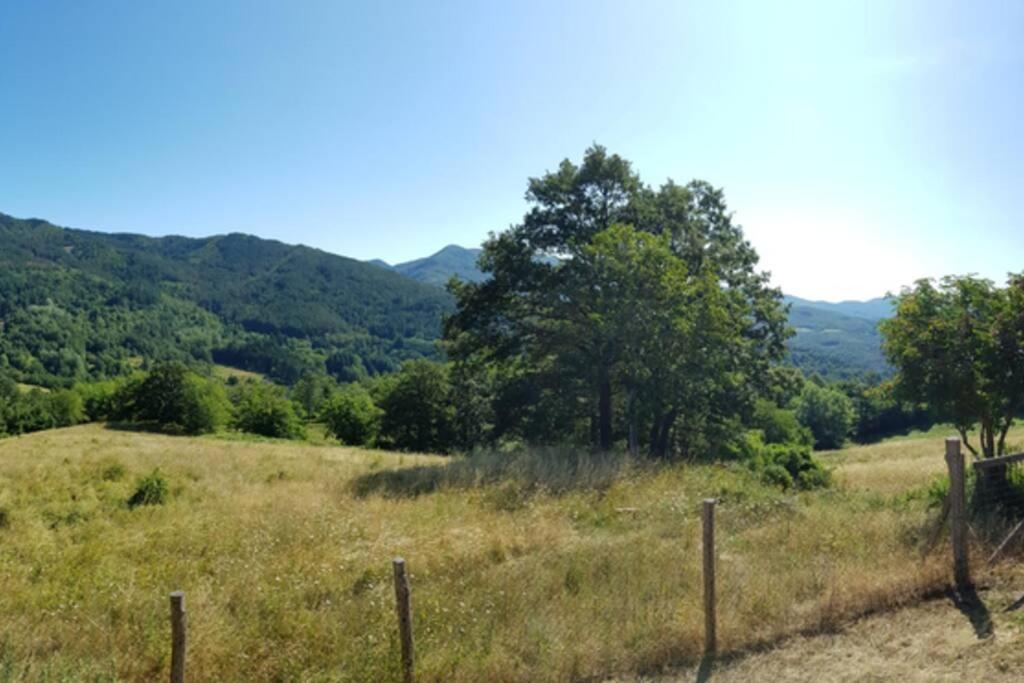 קיוזי דלה ורנה La Sala Vecchia - Lovely Tuscan Holiday House Badia Prataglia, Casentino Valley מראה חיצוני תמונה
