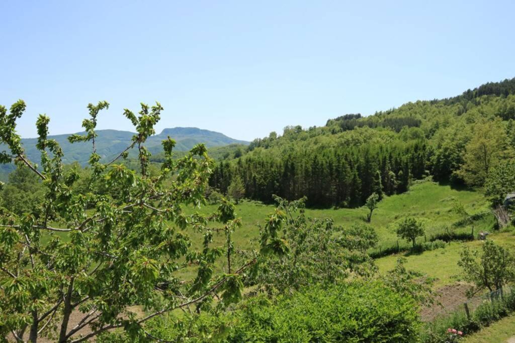 קיוזי דלה ורנה La Sala Vecchia - Lovely Tuscan Holiday House Badia Prataglia, Casentino Valley מראה חיצוני תמונה