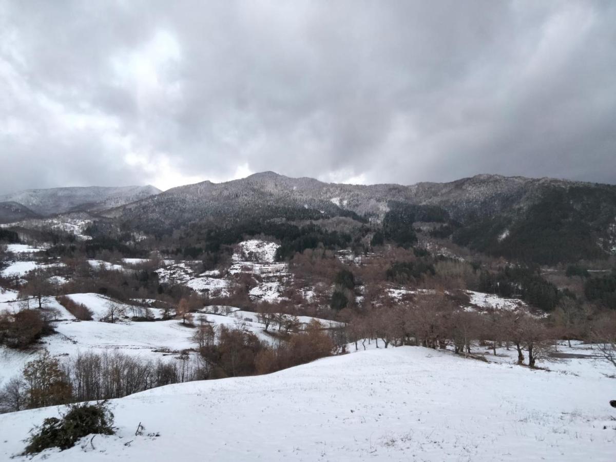 קיוזי דלה ורנה La Sala Vecchia - Lovely Tuscan Holiday House Badia Prataglia, Casentino Valley מראה חיצוני תמונה