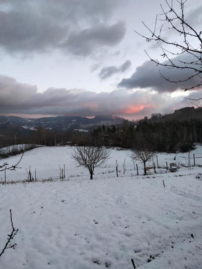 קיוזי דלה ורנה La Sala Vecchia - Lovely Tuscan Holiday House Badia Prataglia, Casentino Valley מראה חיצוני תמונה