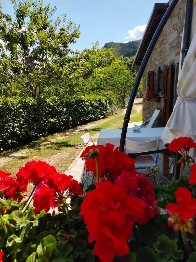 קיוזי דלה ורנה La Sala Vecchia - Lovely Tuscan Holiday House Badia Prataglia, Casentino Valley מראה חיצוני תמונה